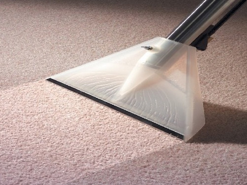 Carpet Cleaners